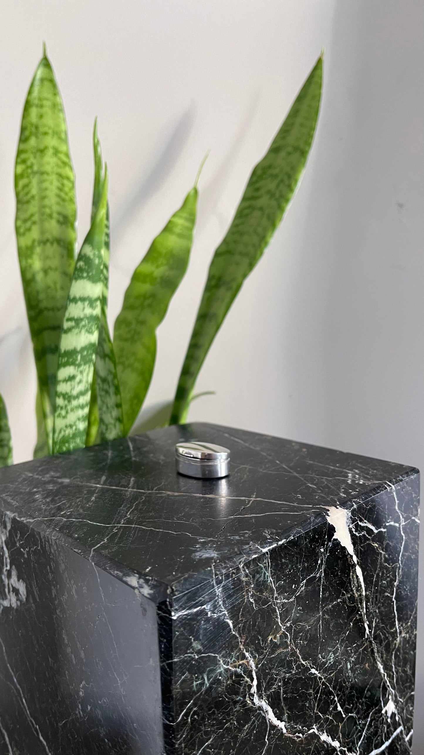 Silver oval pill box