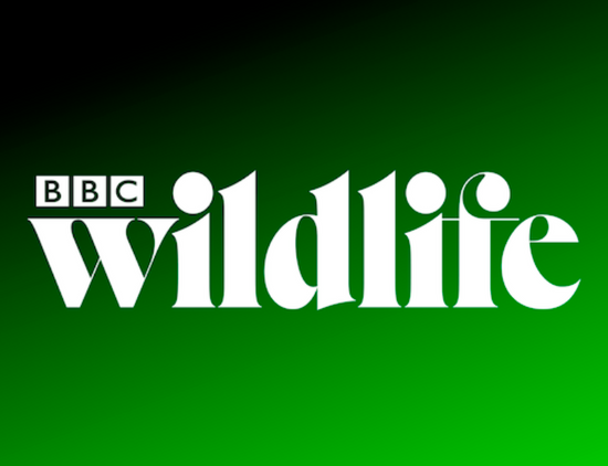 tawulliving, bbc wildlife, endangered species, beach towels, organic cotton, bath towels